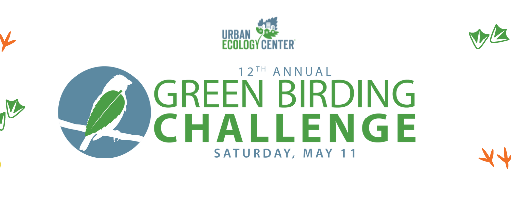 Green Birding Challenge 2024 